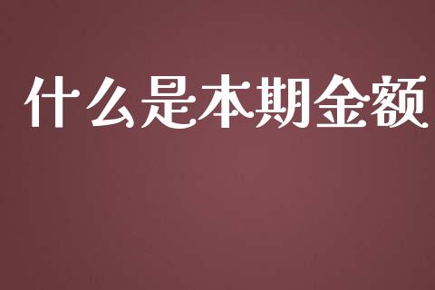 什么是本期金额_https://cj002.lansai.wang_会计问答_第1张