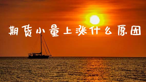 期货小量上涨什么原因_会计问答_第1张_财经百问网 期货小量上涨什么原因_https://cj002.lansai.wang_会计问答_第1张