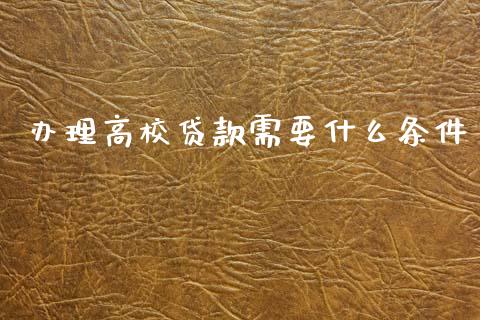 办理高校贷款需要什么条件_https://cj002.lansai.wang_理财问答_第1张