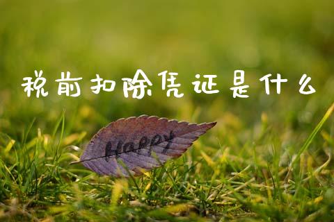 税前扣除凭证是什么_https://cj002.lansai.wang_会计问答_第1张