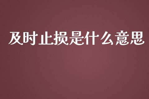 及时止损是什么意思_https://cj002.lansai.wang_理财问答_第1张