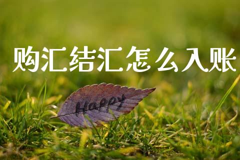 购汇结汇怎么入账_https://cj002.lansai.wang_财经问答_第1张