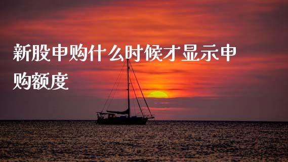 新股申购什么时候才显示申购额度_https://cj002.lansai.wang_金融问答_第1张