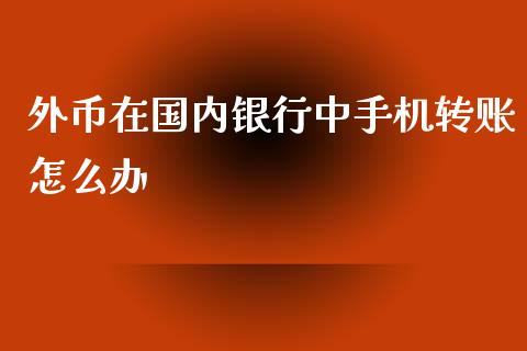 外币在国内银行中手机转账怎么办_https://cj002.lansai.wang_金融问答_第1张