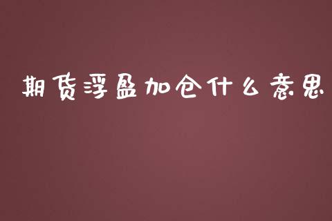 期货浮盈加仓什么意思_保险问答_第1张_财经百问网 期货浮盈加仓什么意思_https://cj002.lansai.wang_保险问答_第1张
