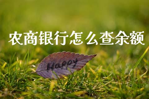 农商银行怎么查余额_https://cj002.lansai.wang_金融问答_第1张