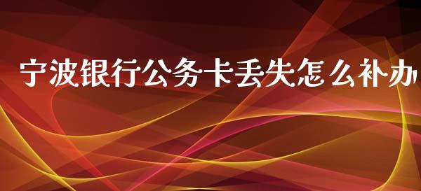 宁波银行公务卡丢失怎么补办_https://cj002.lansai.wang_金融问答_第1张