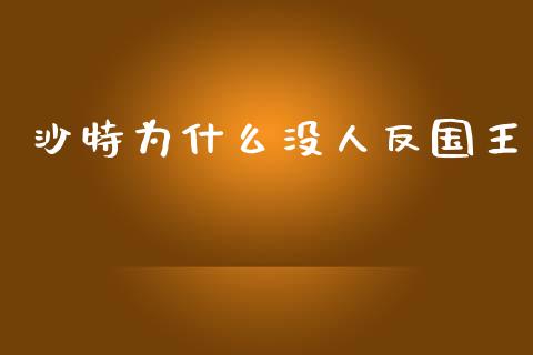 沙特为什么没人反国王_https://cj002.lansai.wang_股市问答_第1张