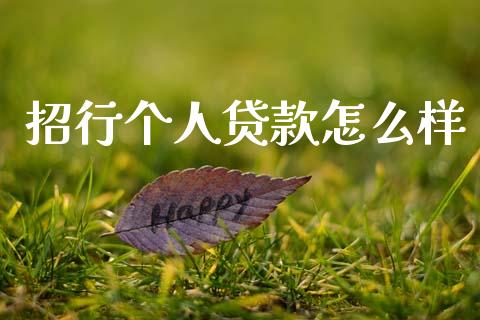 招行个人贷款怎么样_https://cj002.lansai.wang_财经百问_第1张