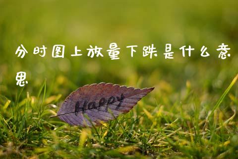 分时图上放量下跌是什么意思_https://cj002.lansai.wang_金融问答_第1张