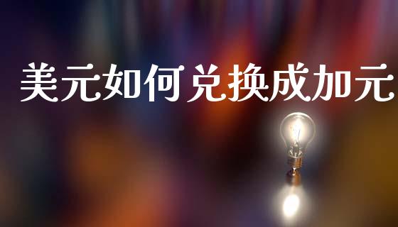美元如何兑换成加元_https://cj002.lansai.wang_财经问答_第1张