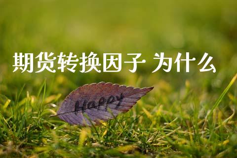 期货转换因子 为什么_https://cj002.lansai.wang_财经百问_第1张