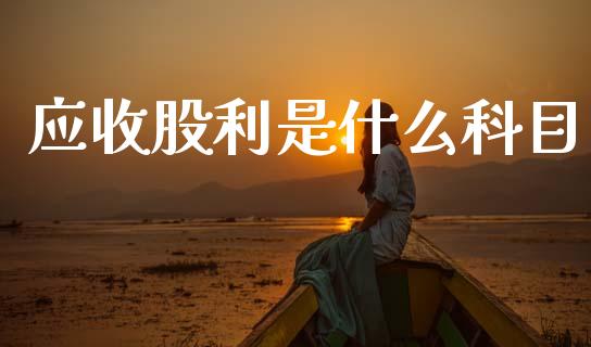 应收股利是什么科目_https://cj002.lansai.wang_会计问答_第1张