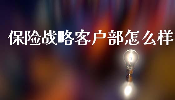 保险战略客户部怎么样_https://cj002.lansai.wang_保险问答_第1张