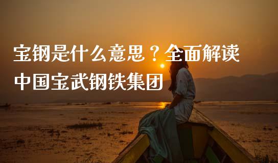 宝钢是什么意思？全面解读中国宝武钢铁集团_https://cj002.lansai.wang_财经问答_第1张