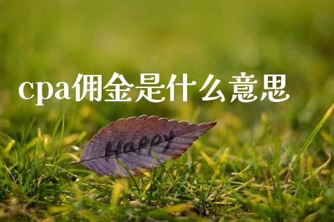 cpa佣金是什么意思_https://cj002.lansai.wang_会计问答_第1张