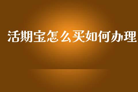活期宝怎么买如何办理_https://cj002.lansai.wang_理财问答_第1张