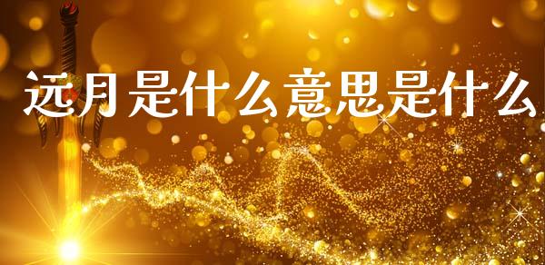 远月是什么意思是什么_https://cj002.lansai.wang_理财问答_第1张