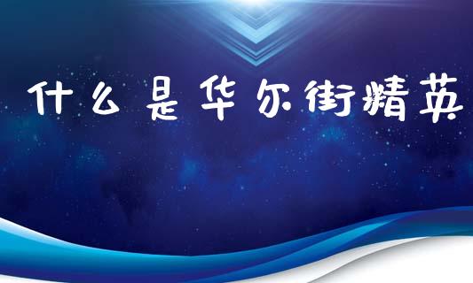什么是华尔街精英_https://cj002.lansai.wang_财经问答_第1张