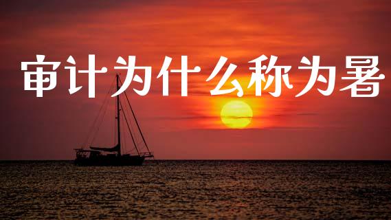 审计为什么称为暑_https://cj002.lansai.wang_会计问答_第1张