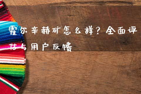 霍尔辛赫矿怎么样？全面评估与用户反馈_https://cj002.lansai.wang_保险问答_第1张