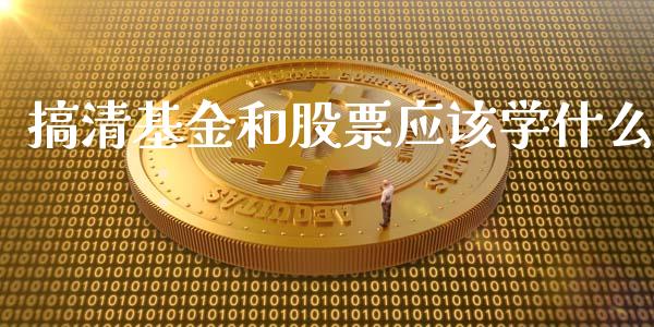 搞清基金和股票应该学什么_https://cj002.lansai.wang_期货问答_第1张