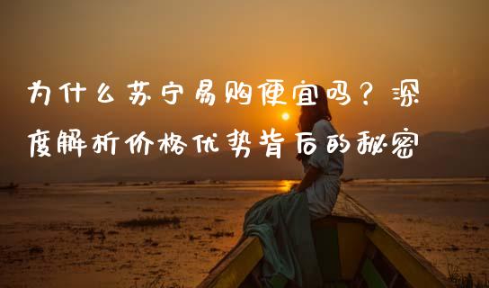 为什么苏宁易购便宜吗？深度解析价格优势背后的秘密_https://cj002.lansai.wang_保险问答_第1张