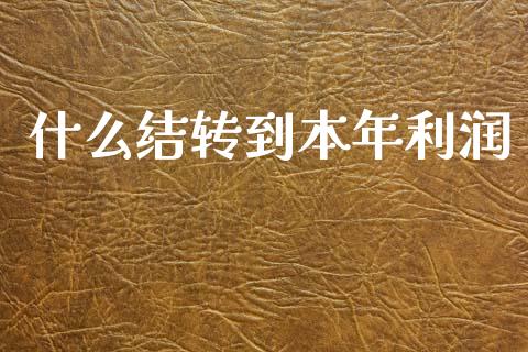 什么结转到本年利润_https://cj002.lansai.wang_会计问答_第1张
