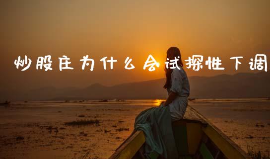 炒股庄为什么会试探性下调_https://cj002.lansai.wang_期货问答_第1张