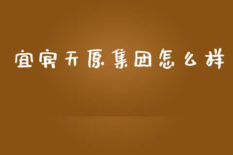 宜宾天原集团怎么样_https://cj002.lansai.wang_股市问答_第1张