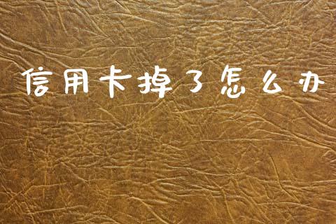 信用卡掉了怎么办_https://cj002.lansai.wang_财经百问_第1张