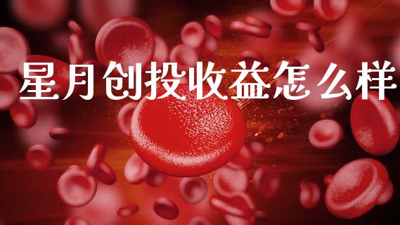 星月创投收益怎么样_https://cj002.lansai.wang_股市问答_第1张