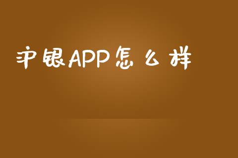 沪银APP怎么样_https://cj002.lansai.wang_金融问答_第1张
