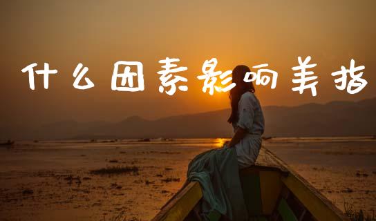 什么因素影响美指_https://cj002.lansai.wang_会计问答_第1张