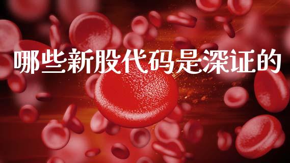 哪些新股代码是深证的_https://cj002.lansai.wang_理财问答_第1张