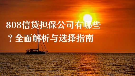 808信贷担保公司有哪些？全面解析与选择指南_https://cj002.lansai.wang_期货问答_第1张