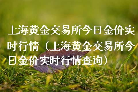 上海黄金交易所今日金价实时行情（上海黄金交易所今日金价实时行情查询）_https://cj002.lansai.wang_理财问答_第1张