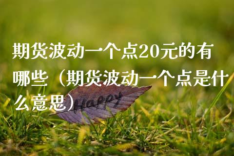 期货波动一个点20元的有哪些(期货波动一个点是什么意思)_财经问答_第1张_财经百问网 期货波动一个点20元的有哪些(期货波动一个点是什么意思)_https://cj002.lansai.wang_财经问答_第1张