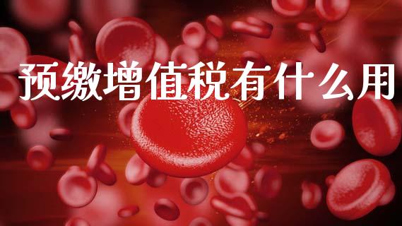预缴增值税有什么用_https://cj002.lansai.wang_会计问答_第1张