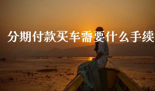 分期付款买车需要什么手续_https://cj002.lansai.wang_股市问答_第1张
