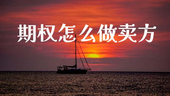 期权怎么做卖方_https://cj002.lansai.wang_保险问答_第1张