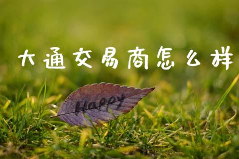 大通交易商怎么样_https://cj002.lansai.wang_财经问答_第1张