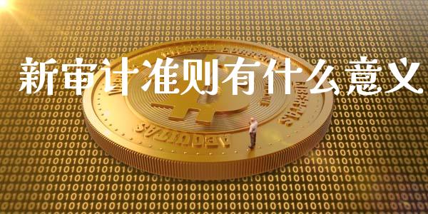 新审计准则有什么意义_https://cj002.lansai.wang_会计问答_第1张