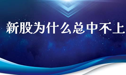 新股为什么总中不上_https://cj002.lansai.wang_股市问答_第1张