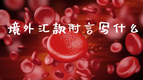 境外汇款附言写什么_https://cj002.lansai.wang_金融问答_第1张