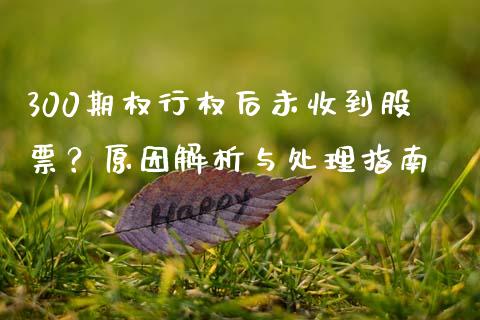 300期权行权后未收到股票？原因解析与处理指南_https://cj002.lansai.wang_会计问答_第1张