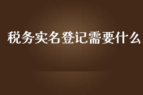 税务实名登记需要什么_https://cj002.lansai.wang_会计问答_第1张