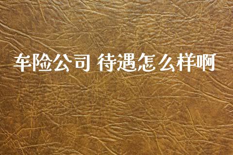 车险公司 待遇怎么样啊_https://cj002.lansai.wang_保险问答_第1张