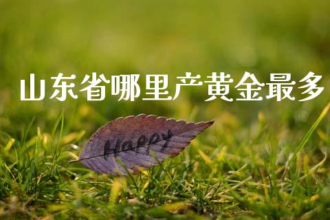 山东省哪里产黄金最多_https://cj002.lansai.wang_财经问答_第1张
