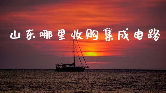 山东哪里收购集成电路_https://cj002.lansai.wang_理财问答_第1张